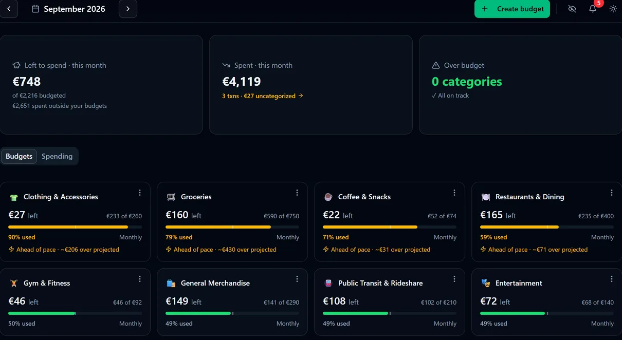 Budgetkarten für den Monat mit Restbetrag, Tempo und verbrauchtem Anteil in Prozent